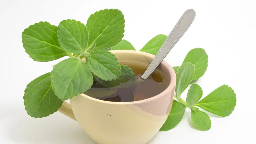 Chá de Canela: A Doçura que Ajuda a Equilibrar o Corpo - inspiração 1