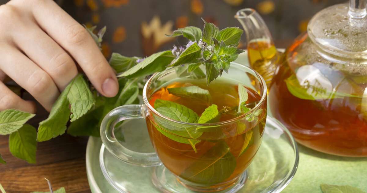 Capim-limão: Frescor Cítrico que Desinflama - inspiração 2