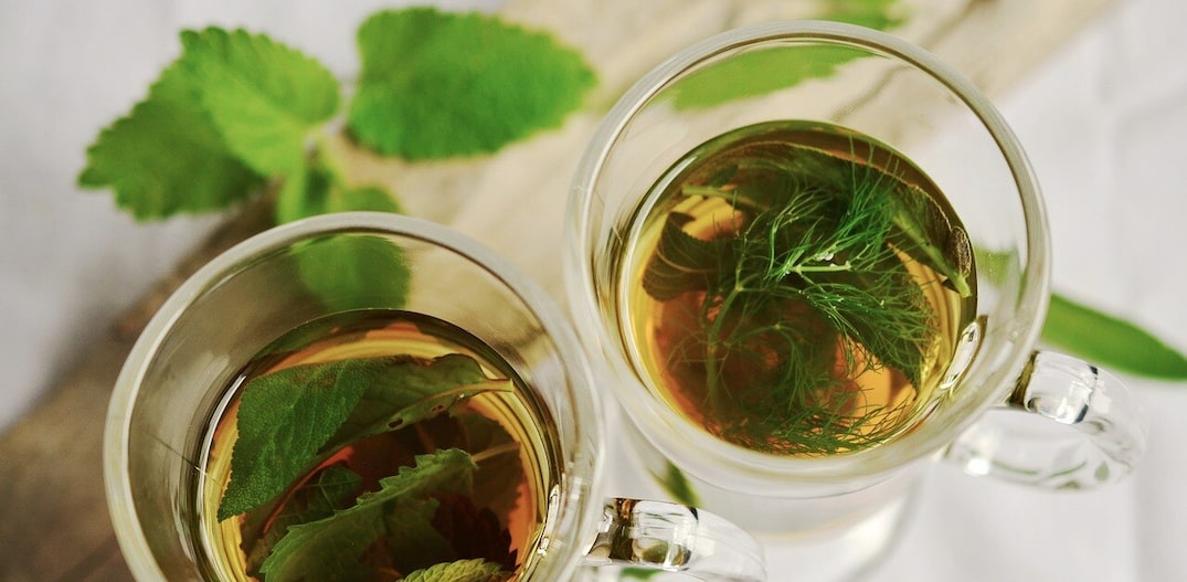 Hortelã: Refrescância que Desincha - inspiração 2