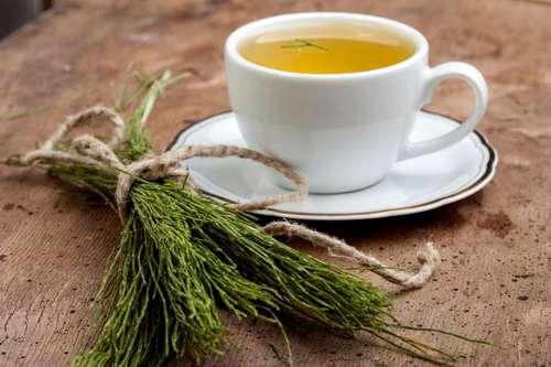 Chá de Oolong: O Equilíbrio Perfeito Entre Chá Verde e Preto - inspiração 2