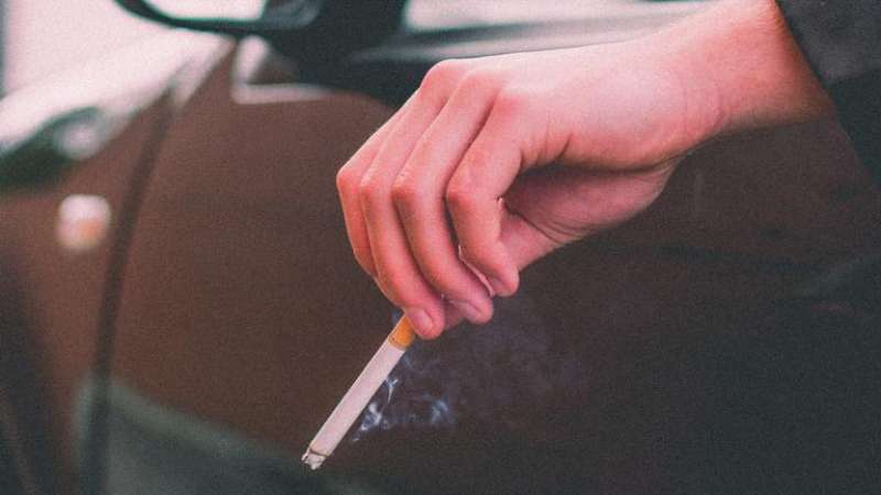 Dente-de-leão: Saúde Hepática em Foco para Eliminação - inspiração 2