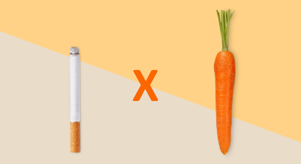 Equinácea: Fortalecendo Sua Imunidade na Transição - inspiração 2