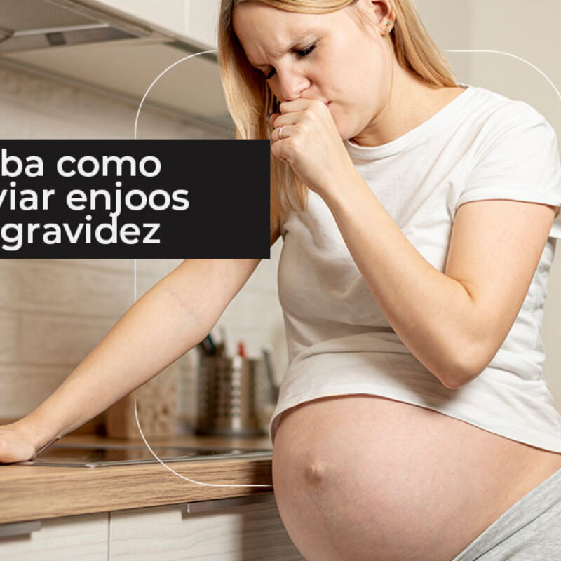 Erva-Cidreira: Conforto e Tranquilidade para Você - inspiração 2