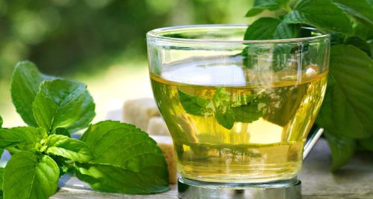 Hortelã: Refrescância que Dissipa a Tensão da Enxaqueca - inspiração 1