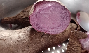 Hortelã: Refrescância com Benefícios para o Sistema Circulatório - inspiração 2