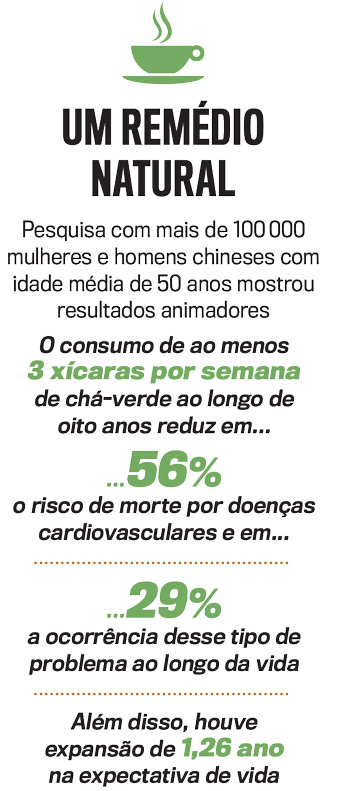 O Poder do Alecrim: Estimulando a Fluidez Sanguínea - inspiração 1