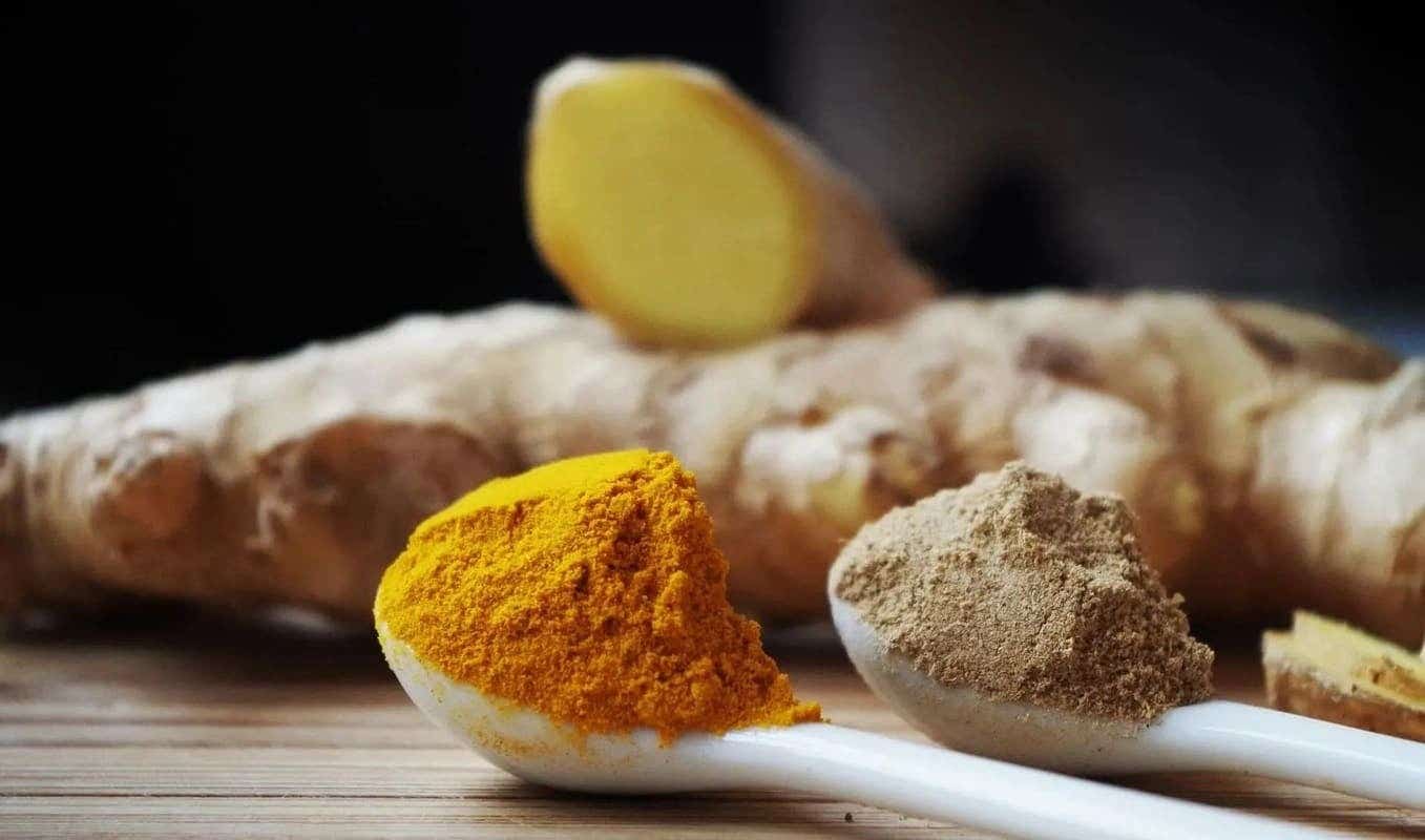 Cavalinha: Um Diurético Natural que Ajuda na Circulação - inspiração 1