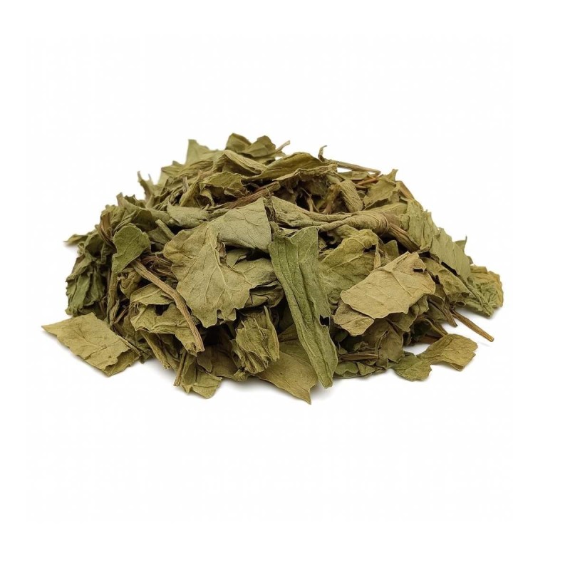 Chá de Erva-Doce: Suaviza a Garganta e Ajuda na Respiração - inspiração 2