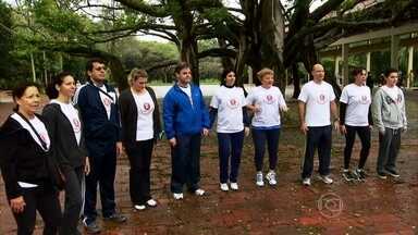 Erva-cidreira: Calmante Natural para Noites Mais Tranquilas - inspiração 2