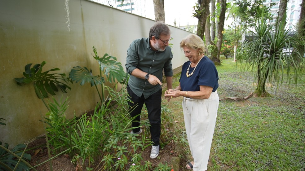 Chá Verde: Antioxidantes e Um Pouco de Energia - inspiração 1