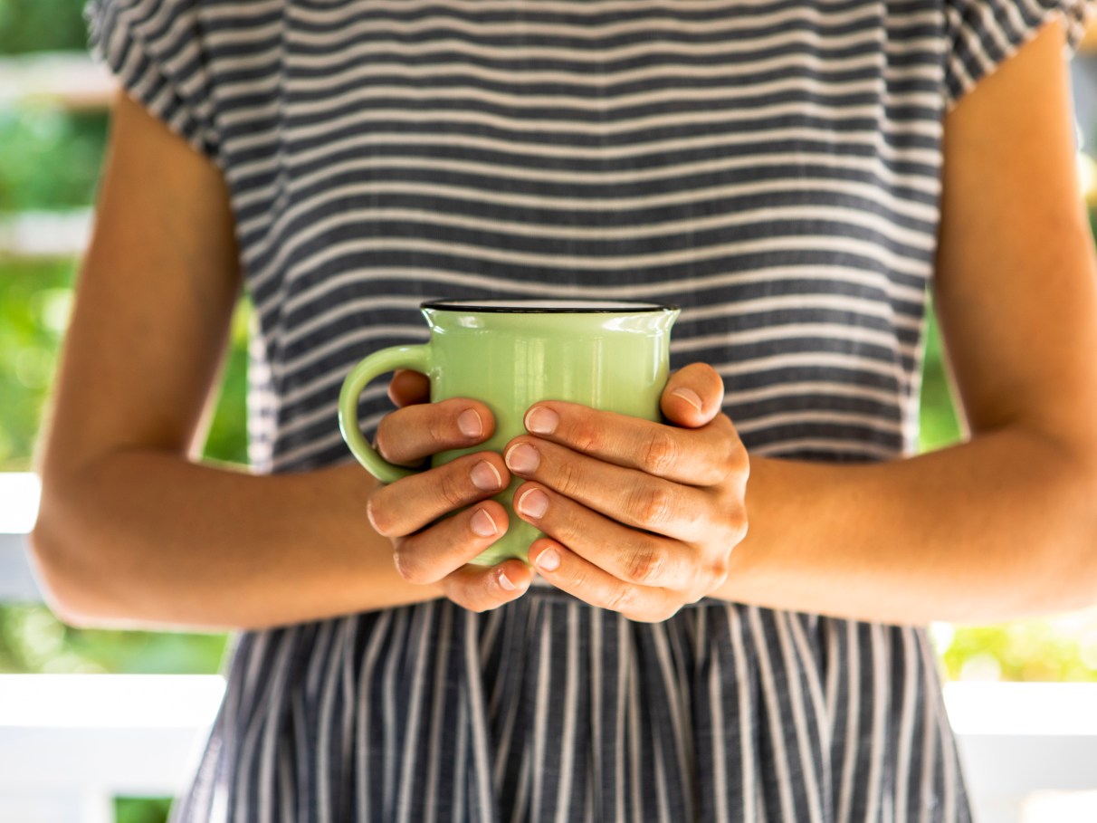 Boldo: Um Clássico para Desintoxicar e Aliviar - inspiração 1