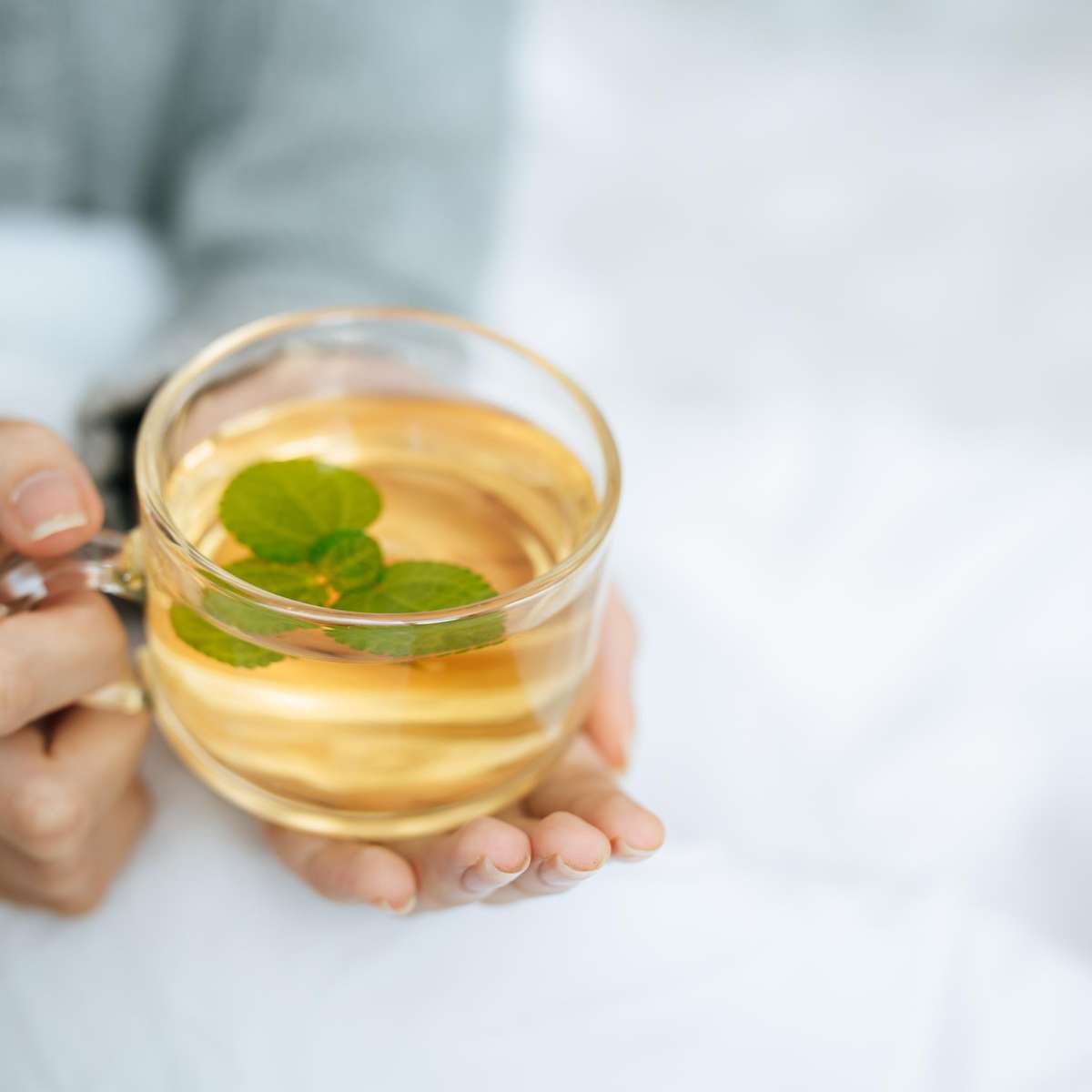 Chá Verde: Antioxidante e Regulador Natural - inspiração 2