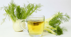 Uva Ursi: Uma Aliada Tradicional para o Trato Urinário - inspiração 1