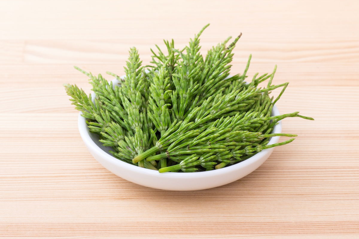 Raiz de Marshmallow: A Ação Emoliente para o Conforto Urinário - inspiração 2