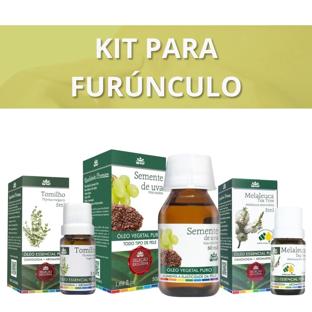 O Poder da Calêndula: Propriedades Cicatrizantes e Anti-inflamatórias - inspiração 1