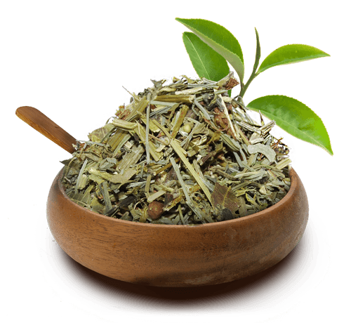 Alcachofra: A Guardiã do Fígado e Aliada da Vesícula - inspiração 1