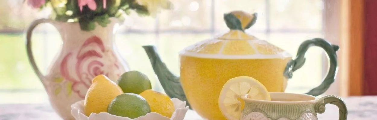 Erva-cidreira: Suavidade para o Estresse e o Desconforto Abdominal - inspiração 2