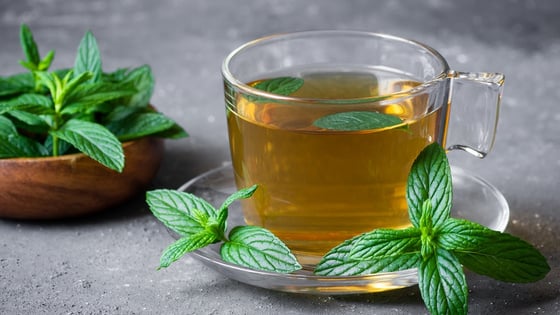 Espinheira Santa: Proteção e Regeneração para o Fígado - inspiração 1