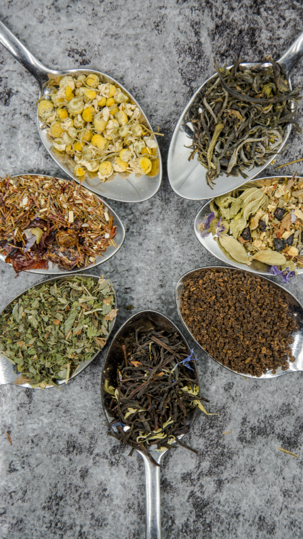 Espinheira Santa: Proteção e Regeneração para o Fígado - inspiração 2