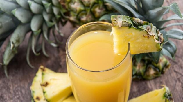 Chá de Tomilho: Poder Antisséptico - inspiração 1