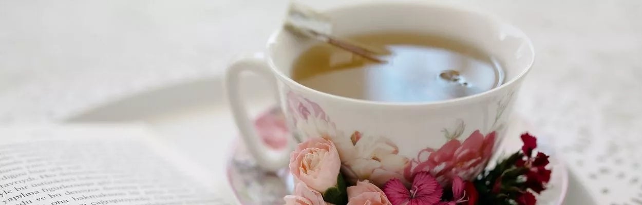 Boldo: Um Aliado para a Digestão Pesada - inspiração 2