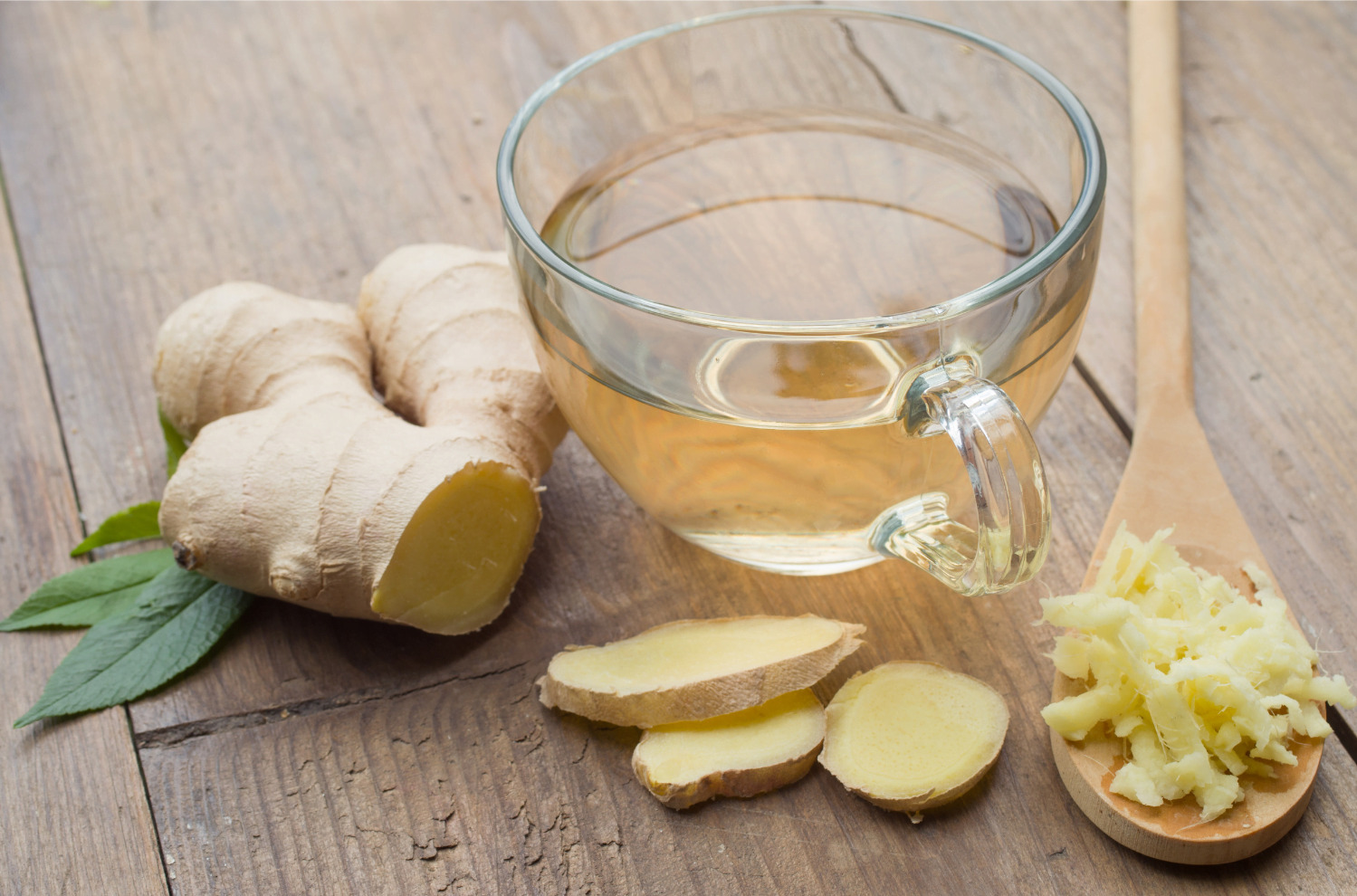 Raiz de Marshmallow: Um Protetor Gástrico Natural - inspiração 1