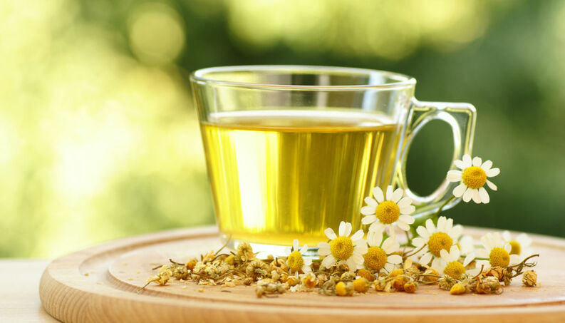 Aloe Vera: O Gel Regenerador Para a Mucosa Gástrica - inspiração 1