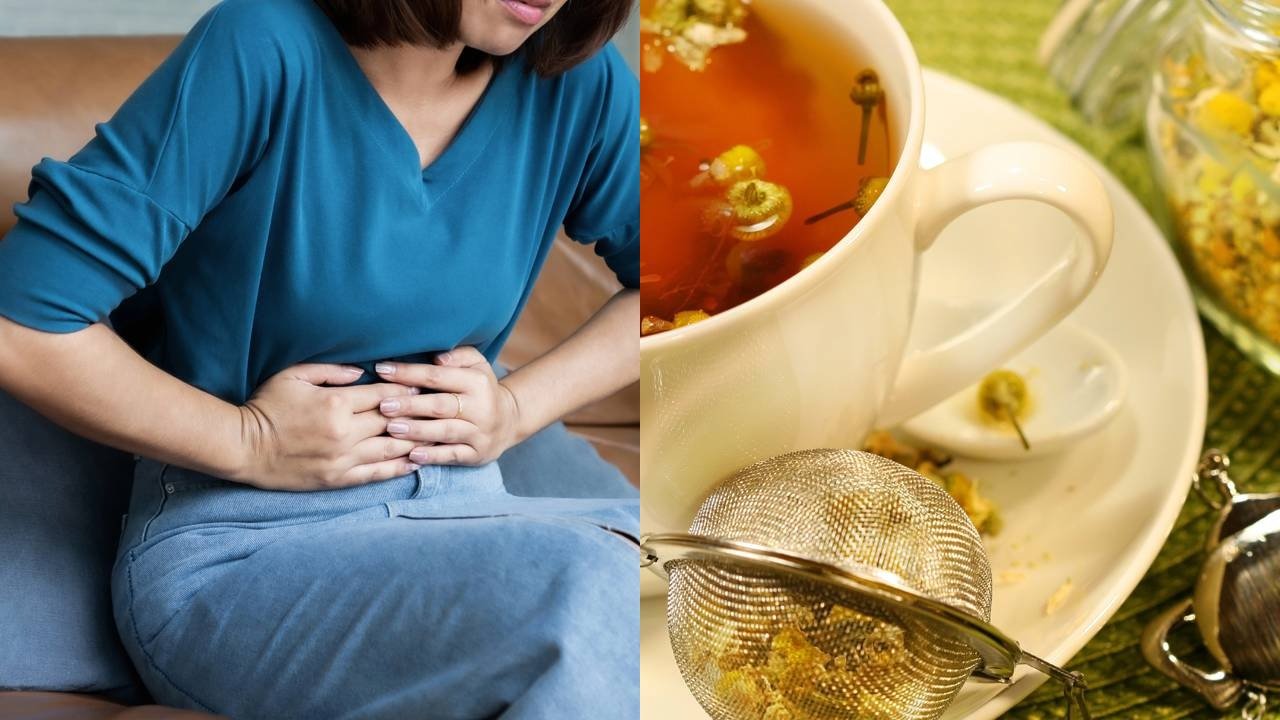 Aloe Vera: O Gel Regenerador Para a Mucosa Gástrica - inspiração 2