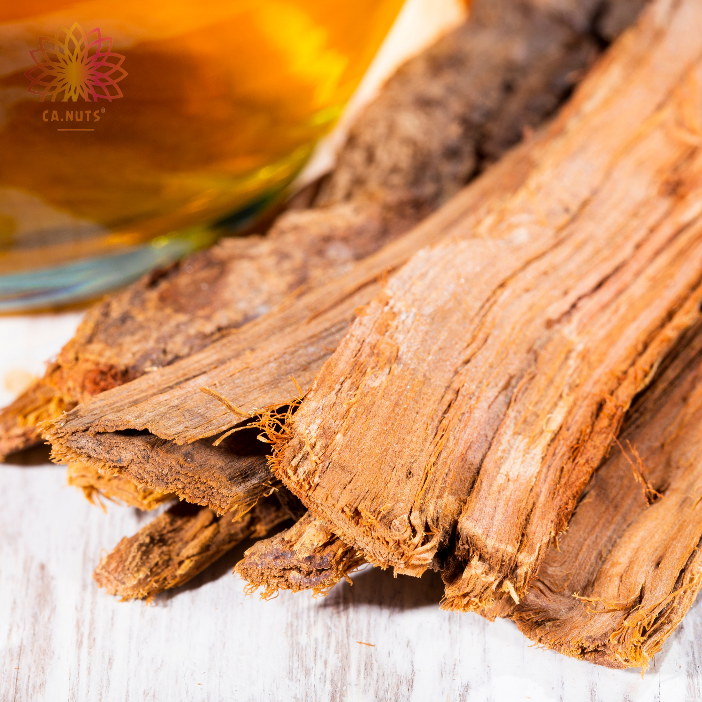 Erva-de-Gato (Nepeta Cataria): O 'Catnip' Natural e Seus Benefícios - inspiração 1