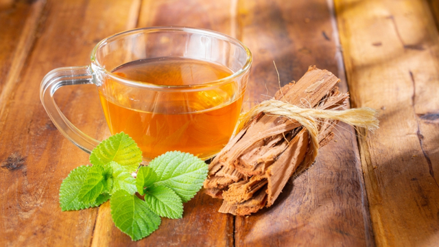 Erva-de-Gato (Nepeta Cataria): O 'Catnip' Natural e Seus Benefícios - inspiração 2