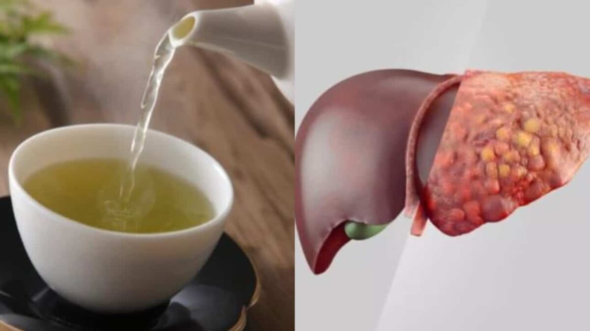 Erva-doce: Para uma Digestão Leve e Alívio Hepático - inspiração 2