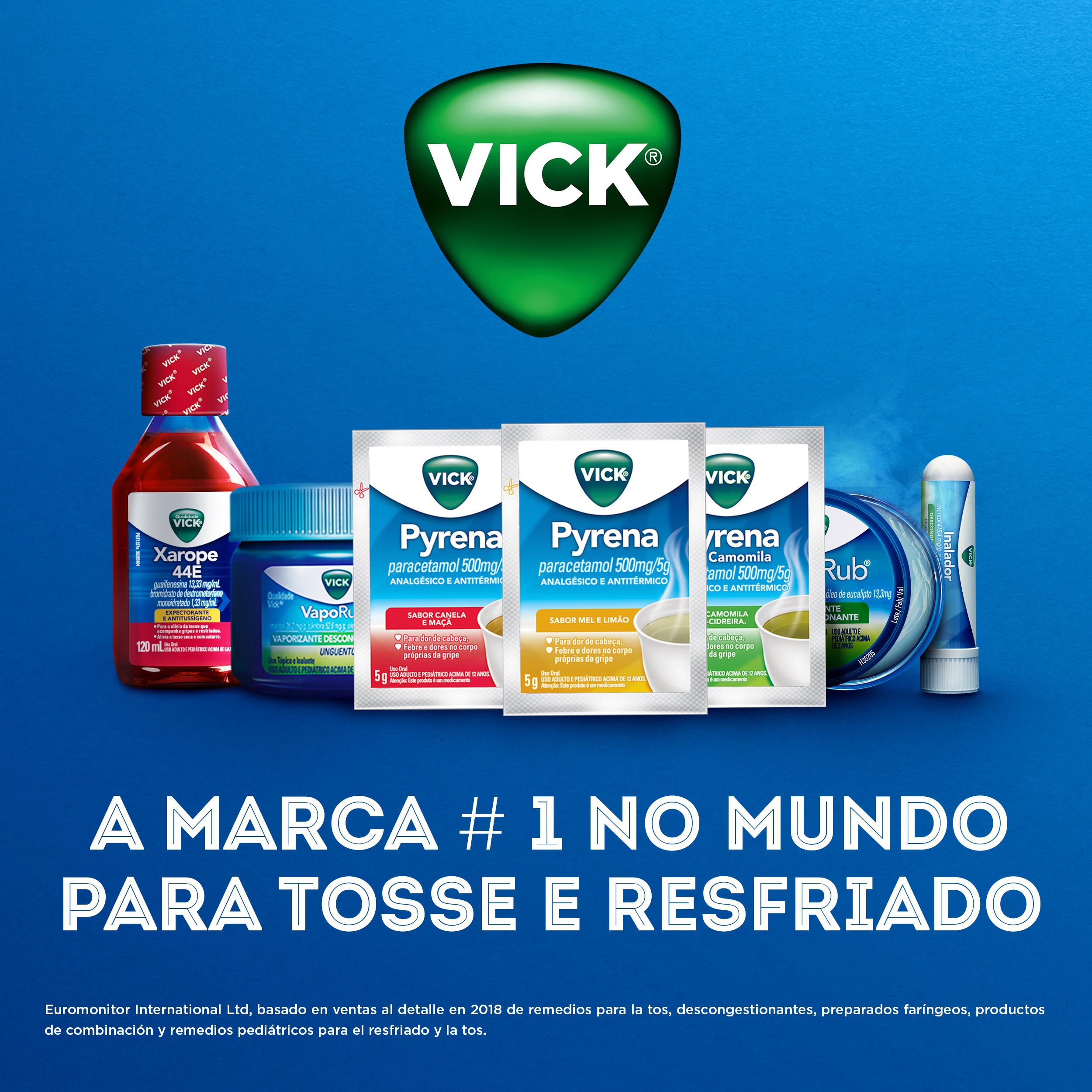 Um Toque Refrescante: Hortelã e Gengibre no Seu Chá Vick - inspiração 2