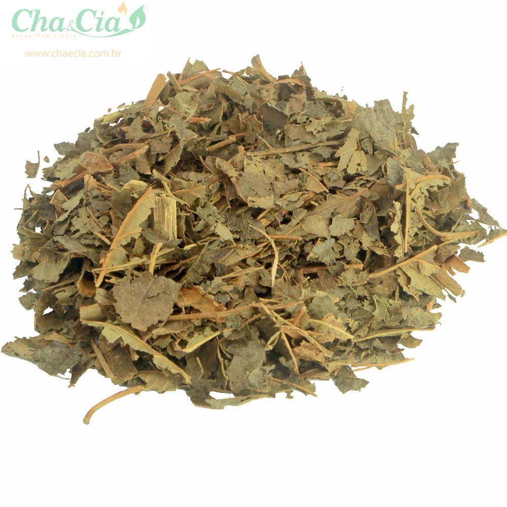 Hortelã: Refrescância e Conforto - inspiração 2