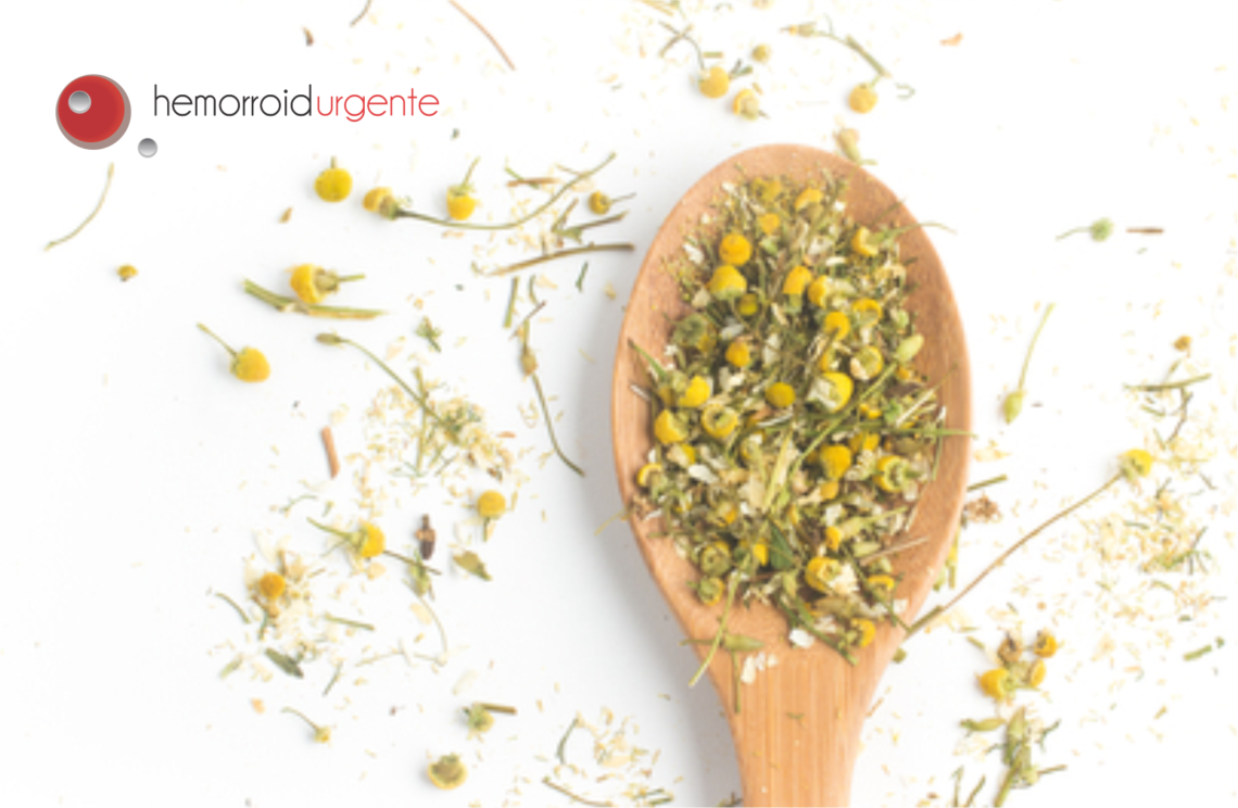 Folhas de Oliveira: A Proteção Antioxidante - inspiração 1