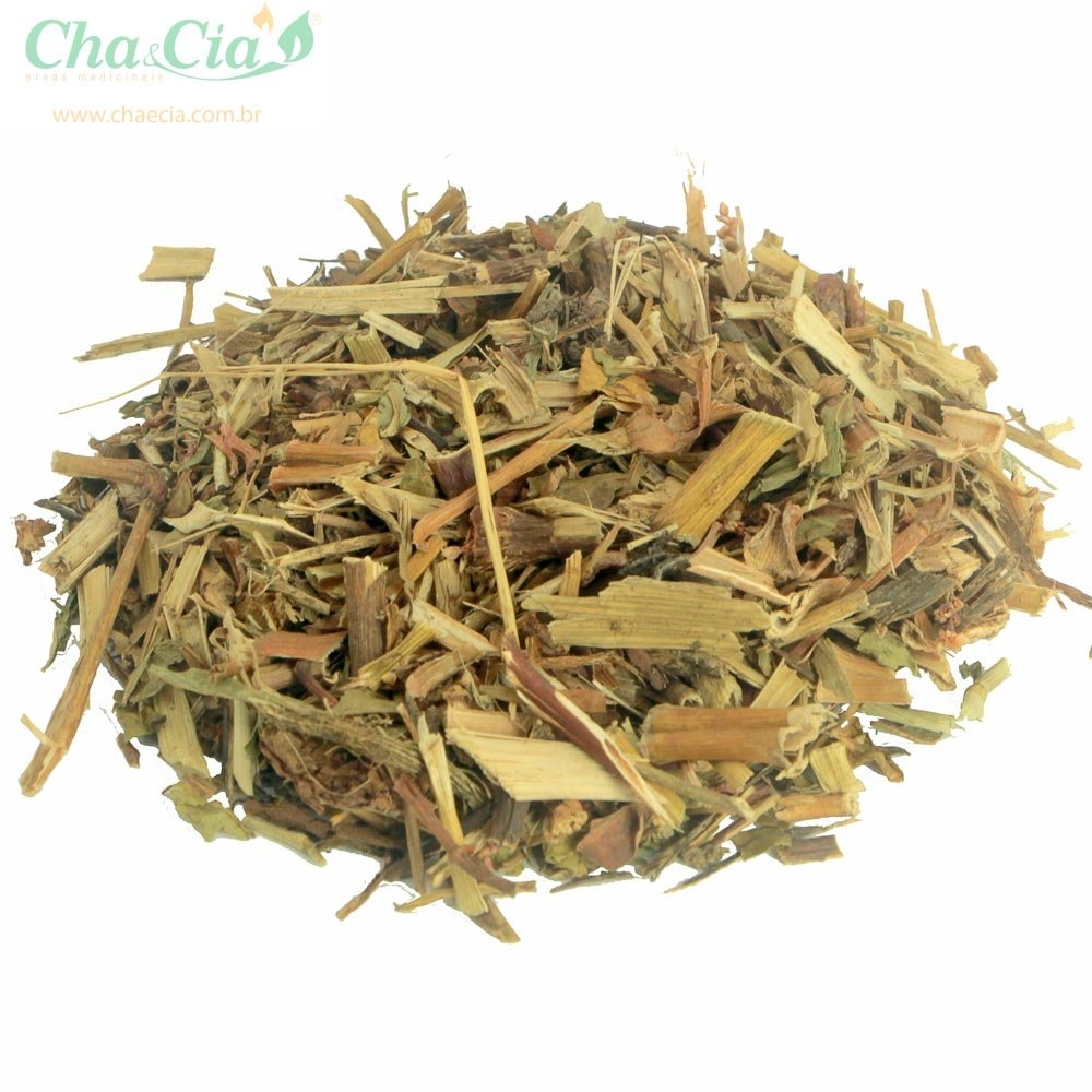 Equinácea: Fortalecendo seu Corpo contra a Inflamação - inspiração 2