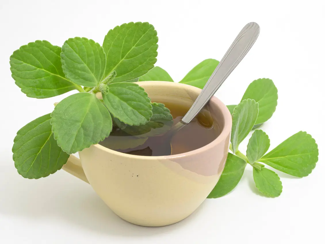 Chá de Limão com Água Morna: Um Despertar para o Estômago - inspiração 2