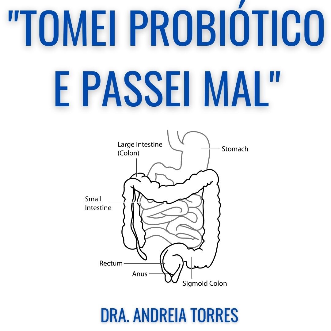 Chá de Alcaravia: Aroma e Ação Digestiva - inspiração 2
