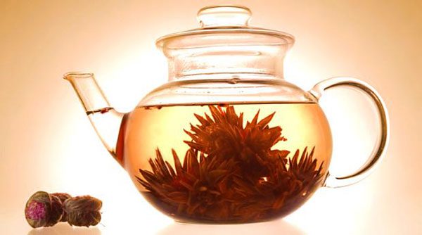 Existe algum chá com alguma propriedade que *ajuda* em quadros inflamatórios? - inspiração 1