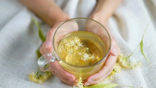 Combinações Ideais: Mix de Ervas para Potencializar o Efeito - inspiração 2