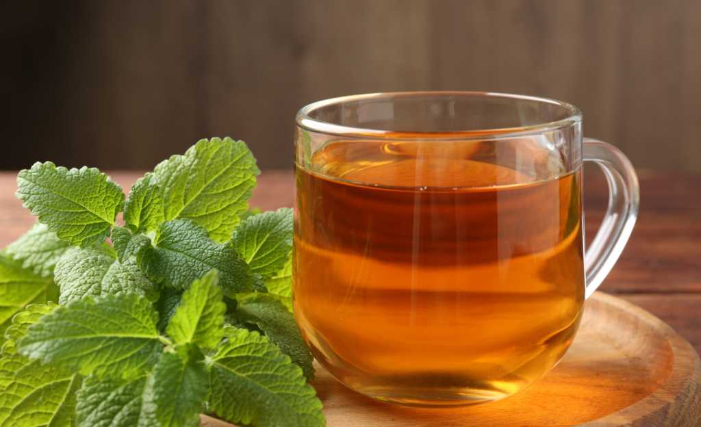 Erva-cidreira: Doçura e Serenidade em Cada Gole - inspiração 2