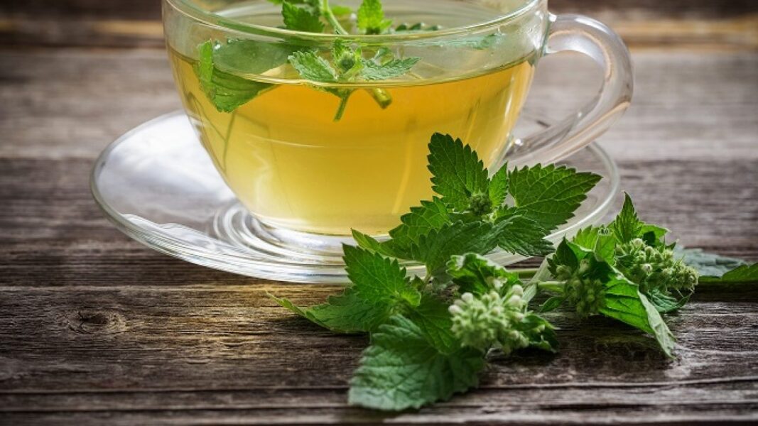 Raiz de Alcaçuz: Um Toque Doce para Acalmar a Mente - inspiração 1