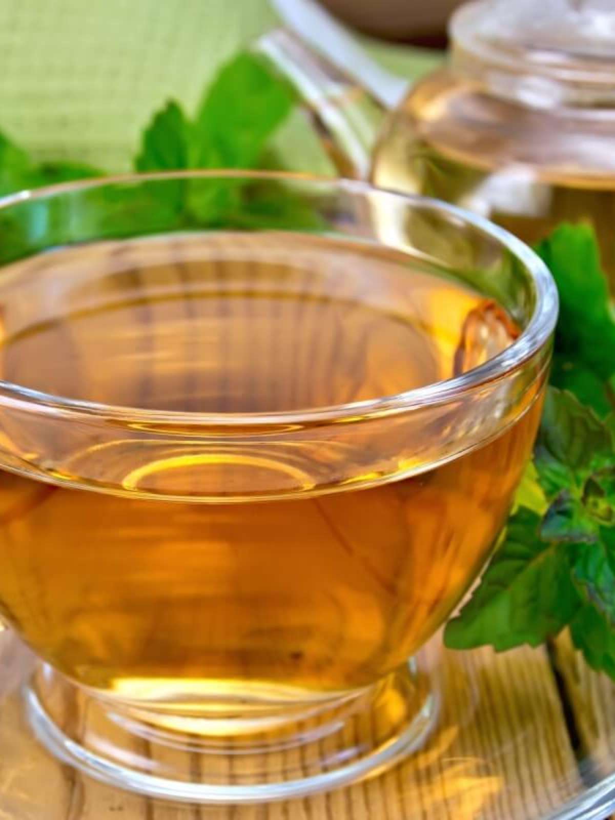 Chá de Cavalinha: Drenagem Linfática Direto na Xícara - inspiração 2