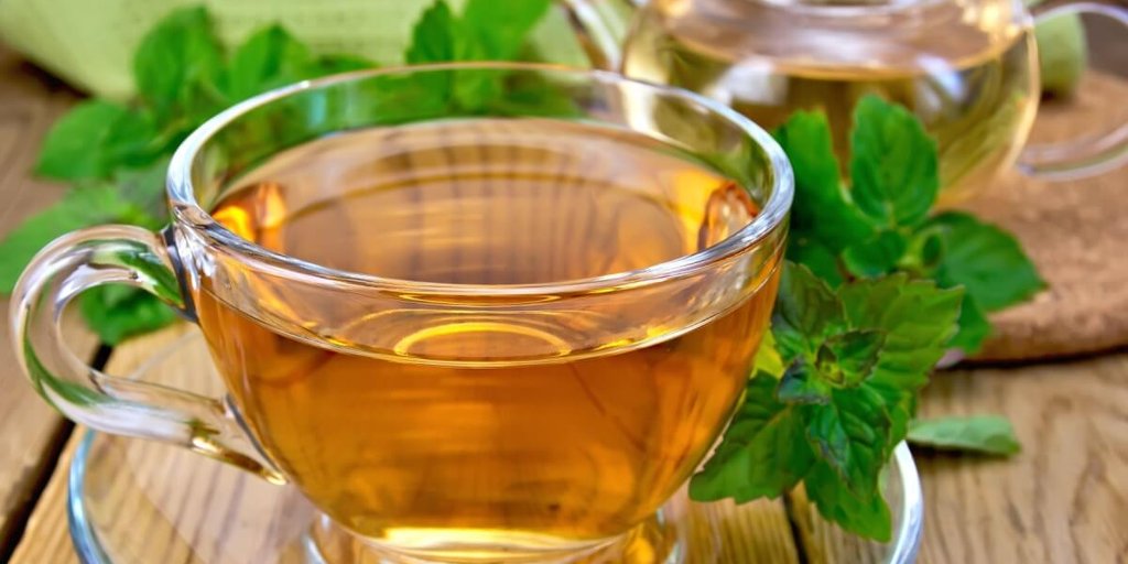 Chá de Hortelã: Refrescância Que Ajuda na Digestão - inspiração 2