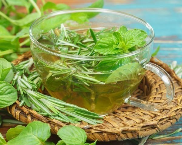 Cavalinha: A Diurética Natural que Você Precisa Conhecer - inspiração 2