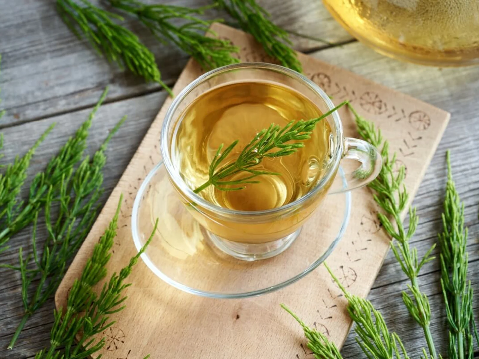 Ervilha de Cheiro (Lathyrus cicera): Benefícios Pouco Conhecidos - inspiração 1