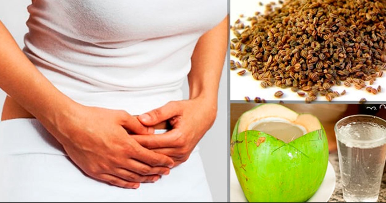 Chá de Dente-de-Leão: Diurese Eficiente e Delicada - inspiração 1