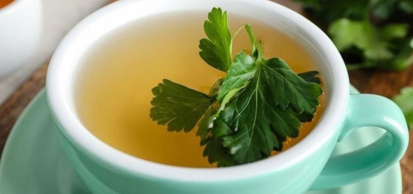 Chá de Uva Ursi: Concentração de Arbutin para Combate Bacteriano - inspiração 2