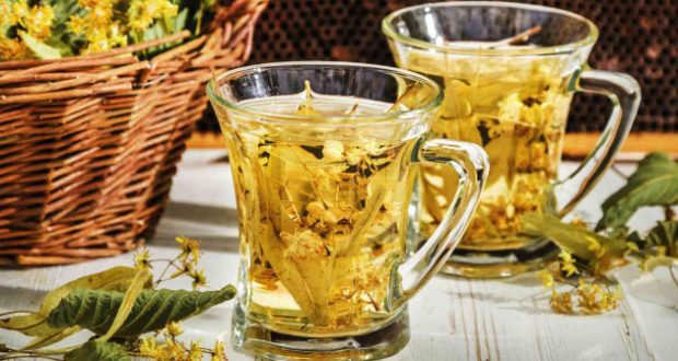 Chá de Erva-Cidreira: Calma e Leveza para Evitar Beliscos - inspiração 2