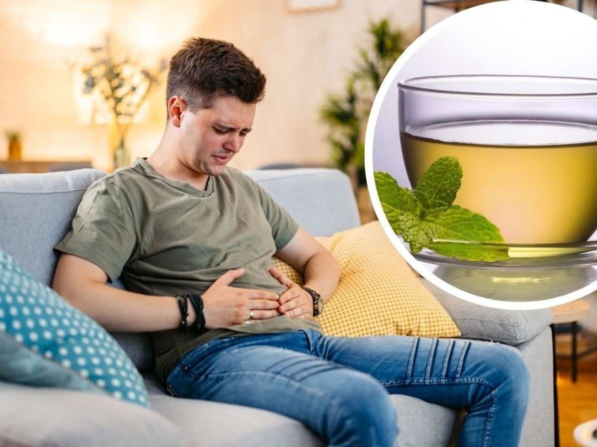 A Malva e Seus Efeitos Emolientes e Calmantes - inspiração 2