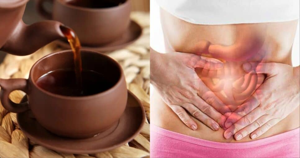 Erva-cidreira: Suavidade para Nervosismo e Irritabilidade Intestinal - inspiração 1